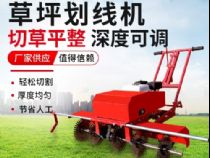 點(diǎn)擊查看詳細(xì)信息<br>標(biāo)題：草皮劃線(xiàn)機(jī) 閱讀次數(shù)：2716